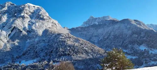 Turismo: Bini, si intensifica la collaborazione tra Friuli Venezia Giulia e Carinzia