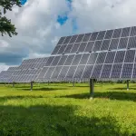 Agricoltura, 500 mila euro per il fotovoltaico nelle aziende: via al bando 2026