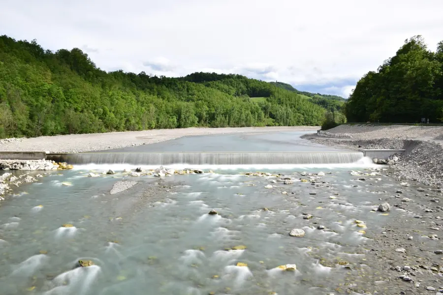 Monitoraggio fiumi 2026: partono i campionamenti della fauna ittica nei corsi d’acqua del Friuli Venezia Giulia