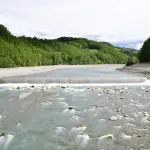 Monitoraggio fiumi 2026: partono i campionamenti della fauna ittica nei corsi d’acqua del Friuli Venezia Giulia