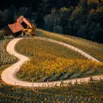 Agricoltura, Zannier: il fondo di rotazione motore del sostegno al settore