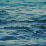 “La riserva invisibile: acqua dolce sotto il mare”, UniTS e OGS per la Giornata Mondiale dell’Acqua