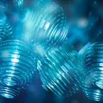 M’illumino di Meno 2026, l’Università di Trieste mette la scienza al centro della transizione ecologica